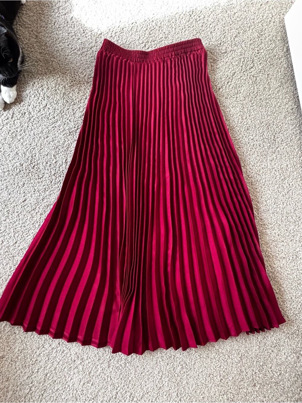 Pleated Midi Skirt